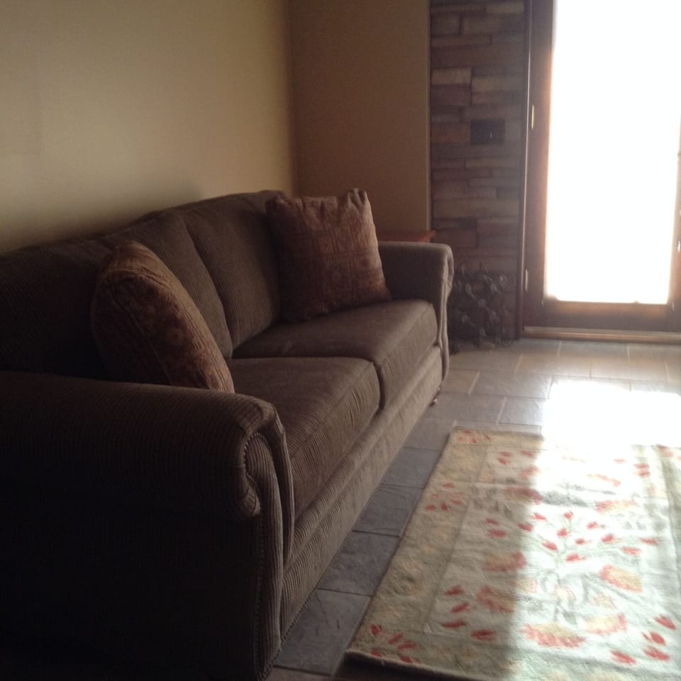 STUDIO - Couch opens to a comfortable queen sleeper for plenty of room for two.