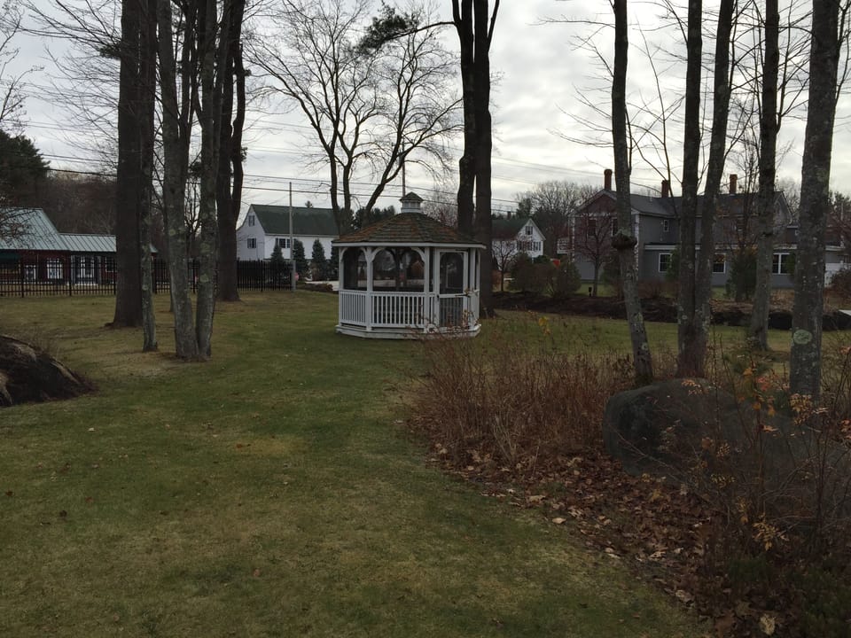 Grass Area in front of Condo