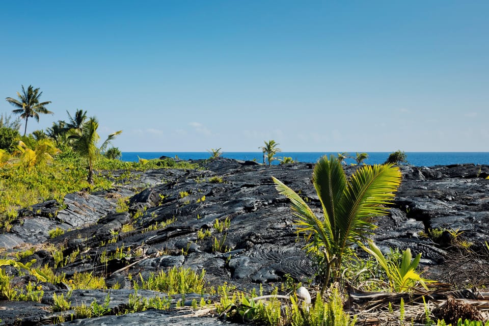 Access to oceanfront.