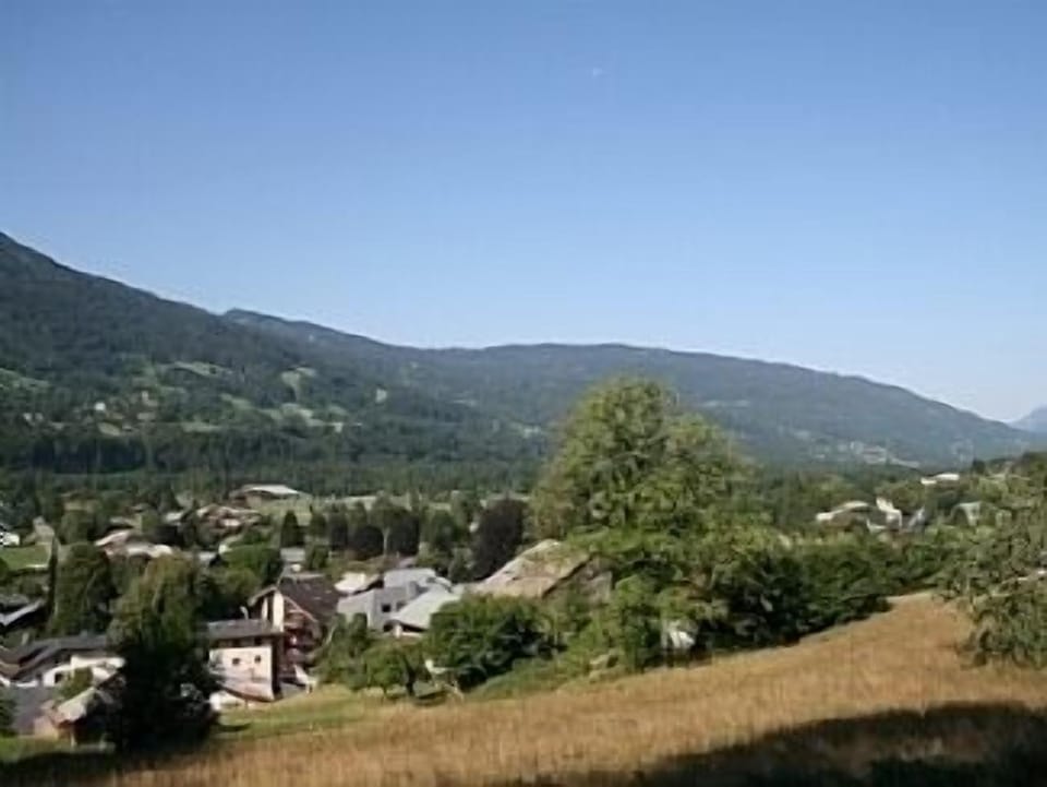 View from the balcony in summer