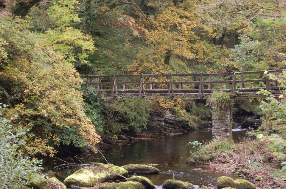 A perfect spot to sit and listen to the river tumbling past the cottage.