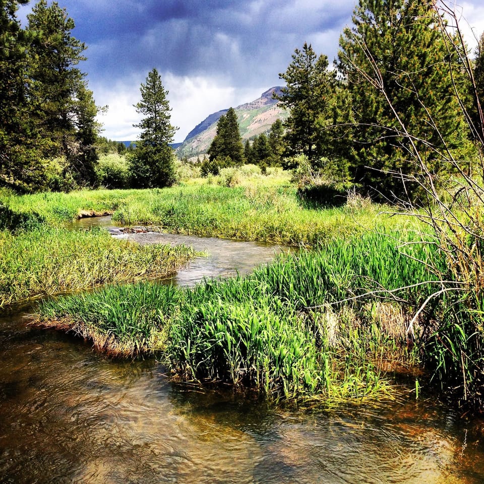 Stream above the lodge