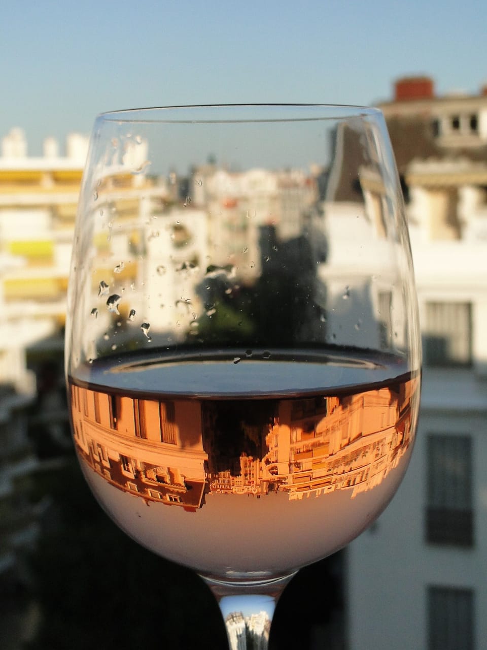 Rose on the Terrace