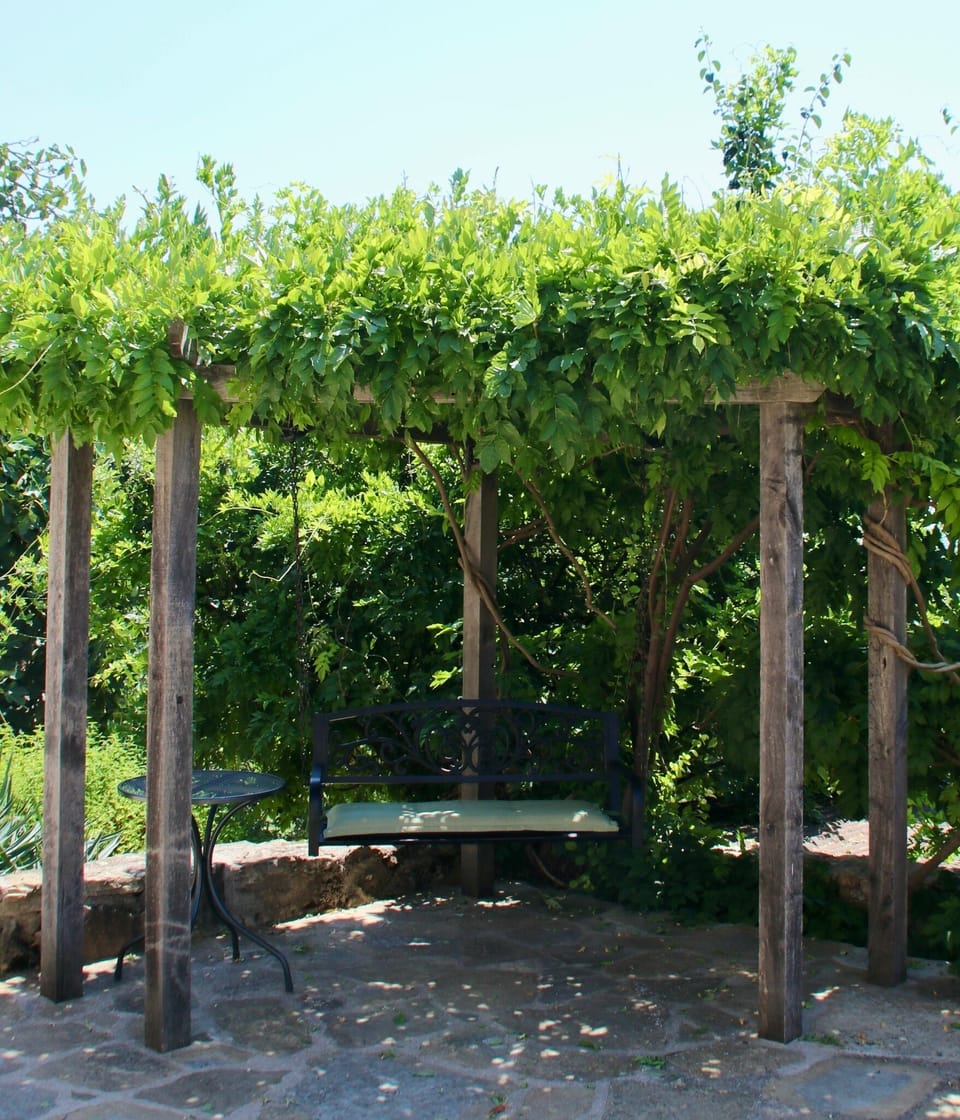 Swing seat under the wisteria