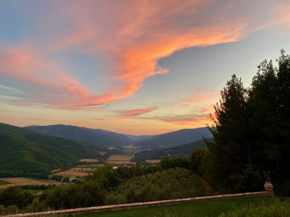 Evening sunset