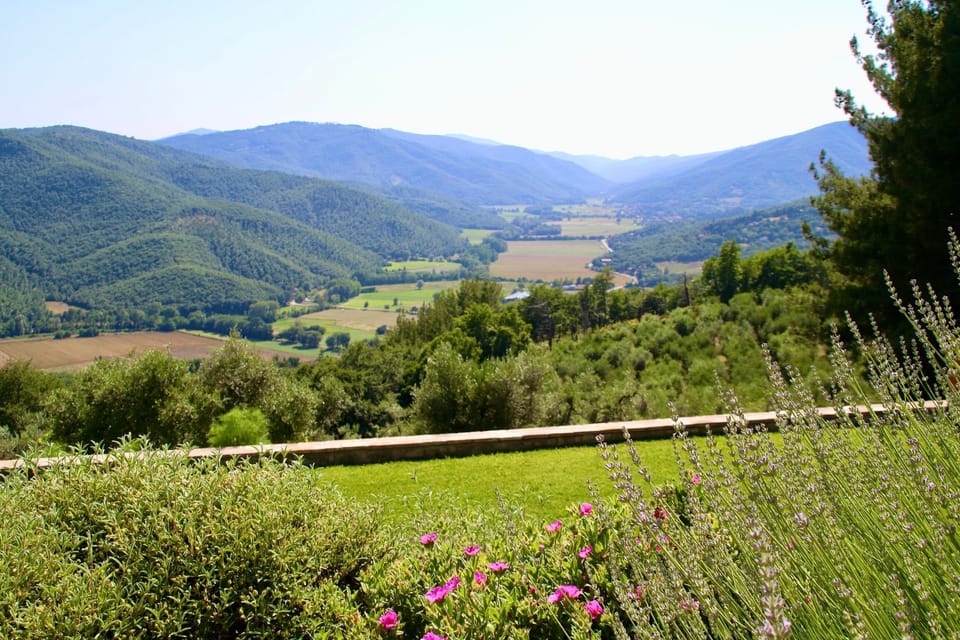 View from the loggia and sun terrace