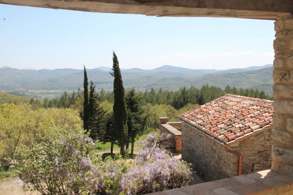 View from the upper terrace 