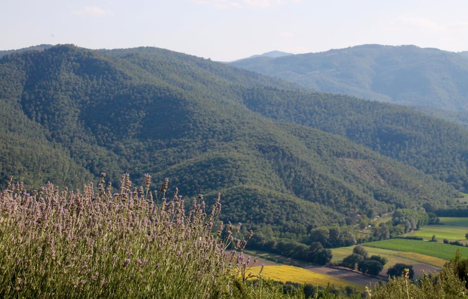 View from the terrace