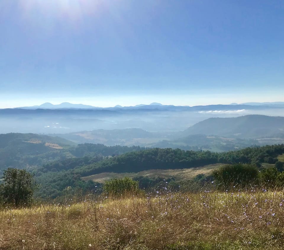View from the top of our hill