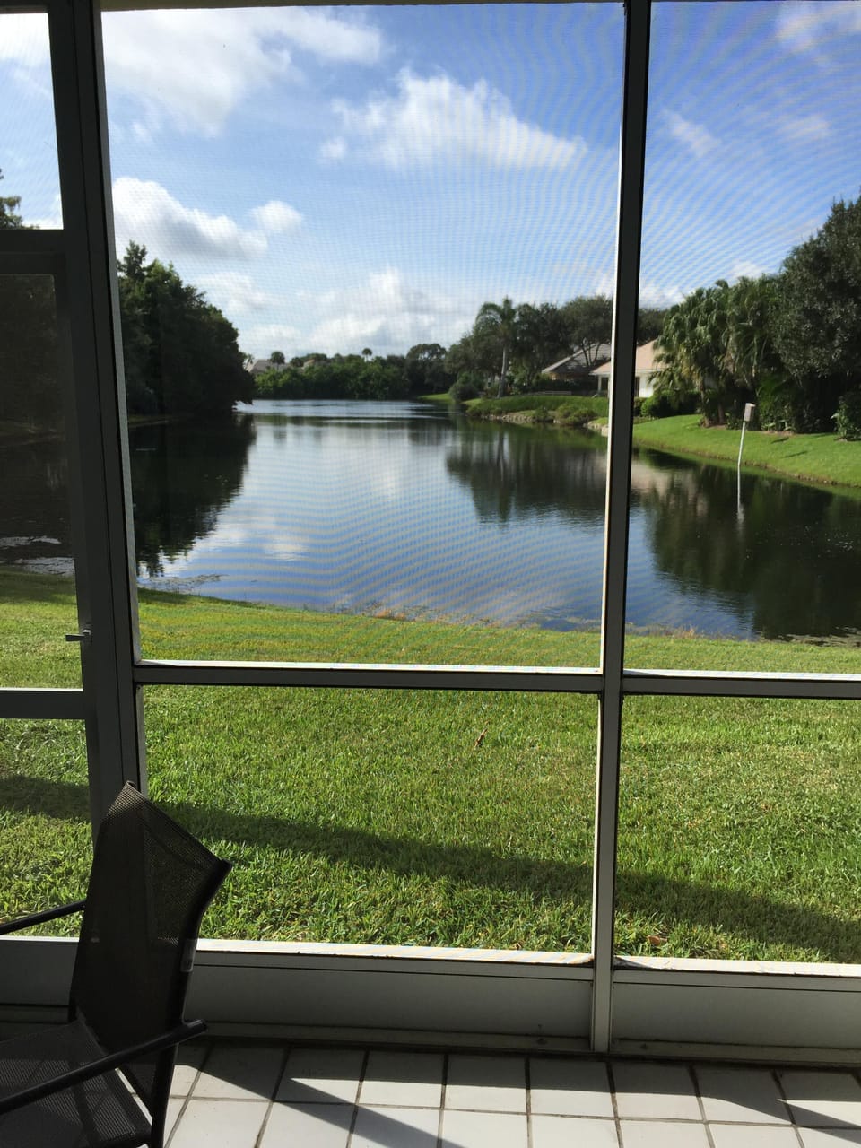 View from the patio
