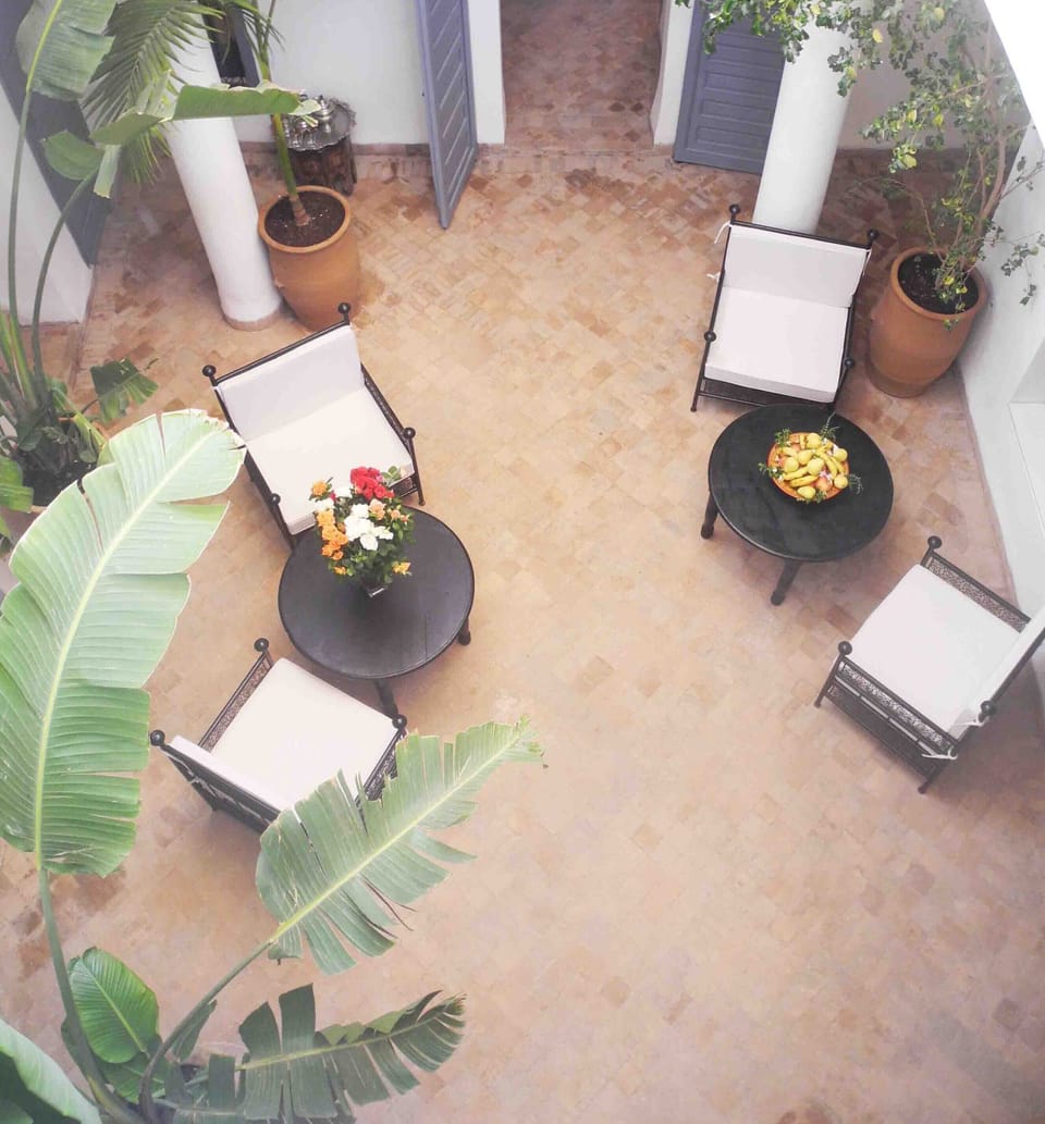 our lovely tree filled patio