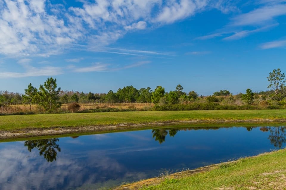 Our view across the lake and conservation area
