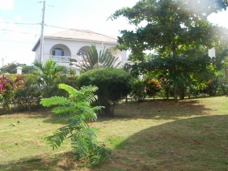 Side yard of the house