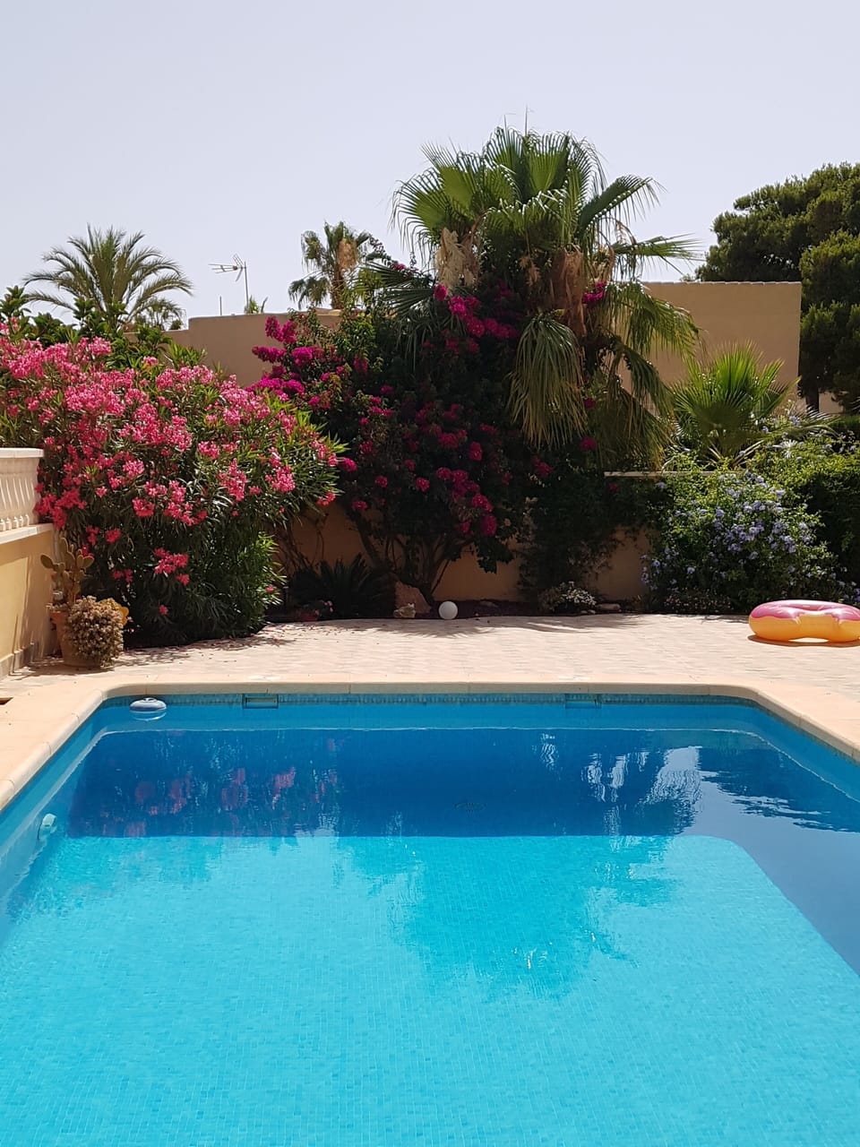 Swimmingpool