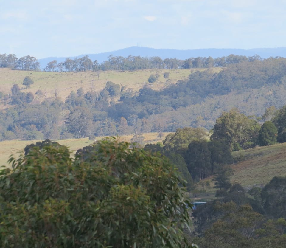 View from Brumby's Run Lodge