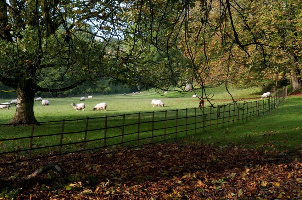 Fields and woodland surround Springkell