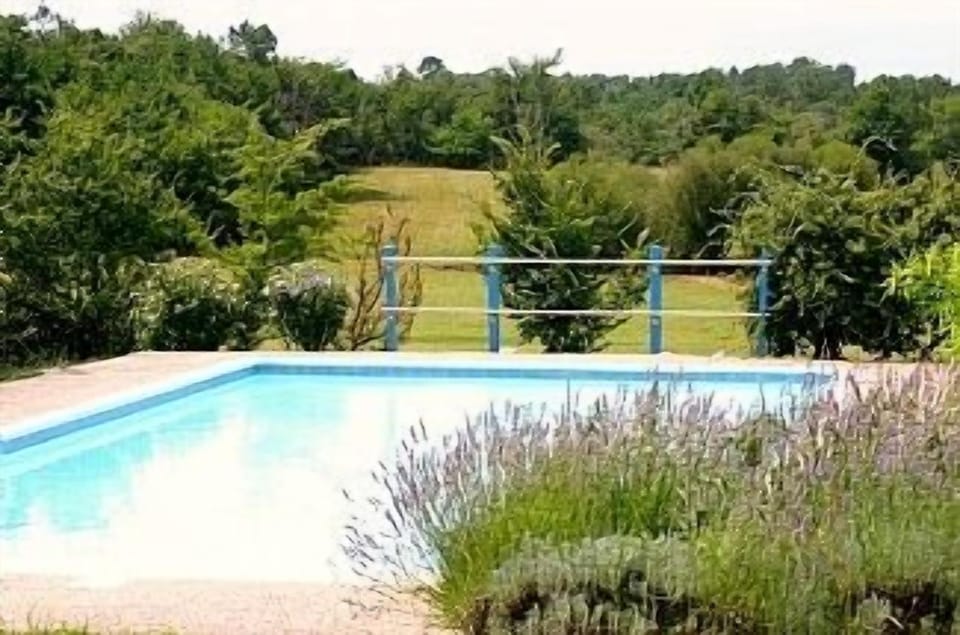 Pool and view