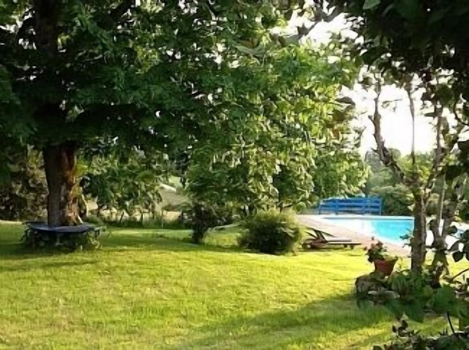 Garden and pool