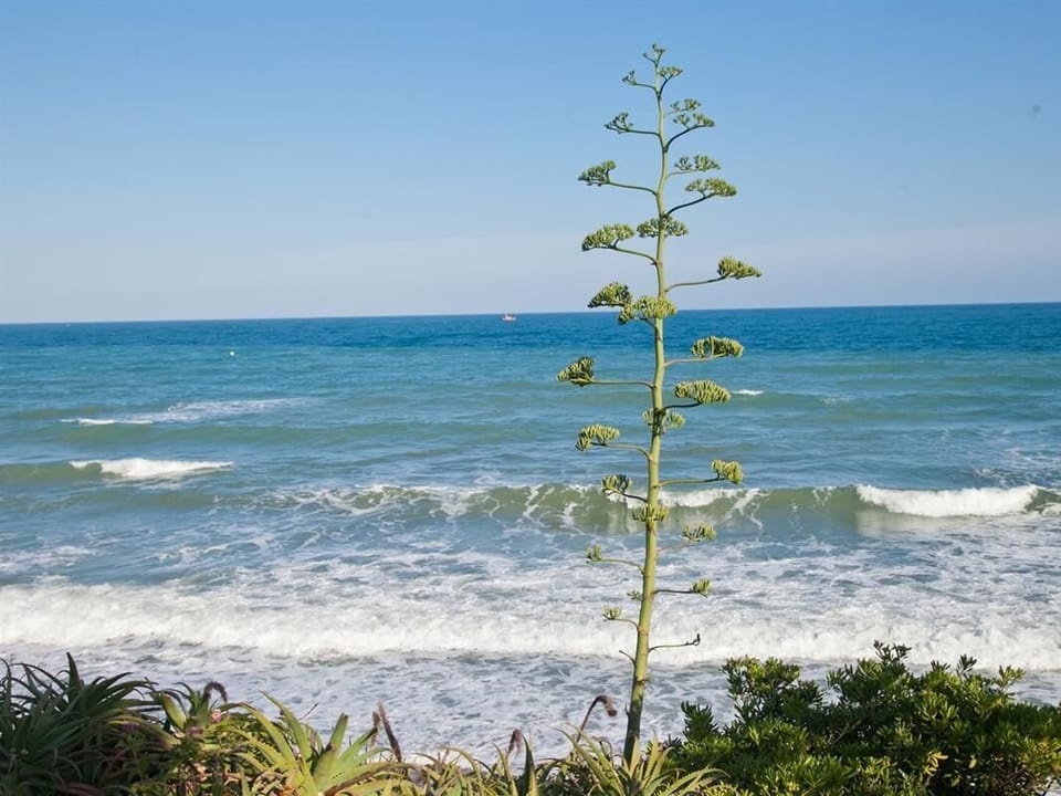 Unbeatable sea views from this property