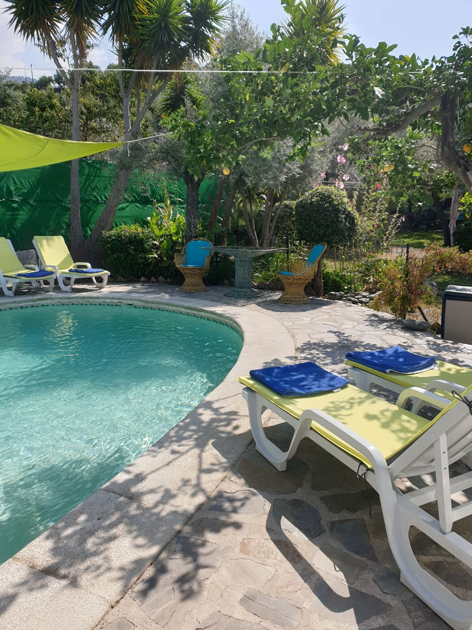 pool area
