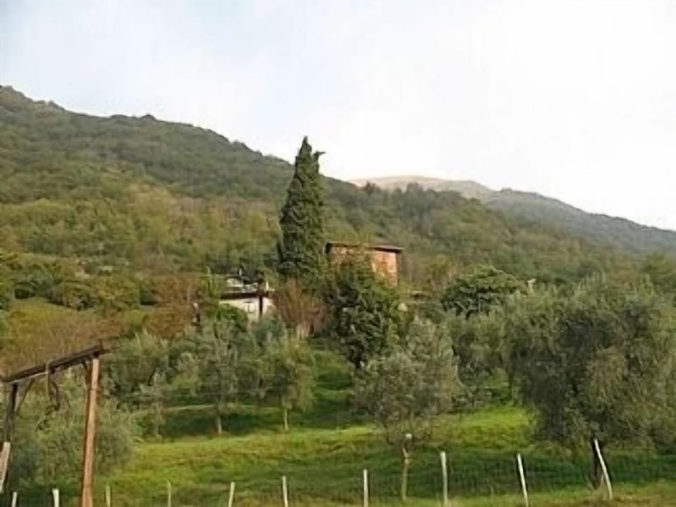 A view of Roveglio Cottage and Farmhouse
