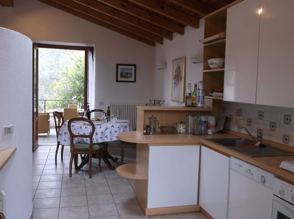 The kitchen, dining area and terrace
