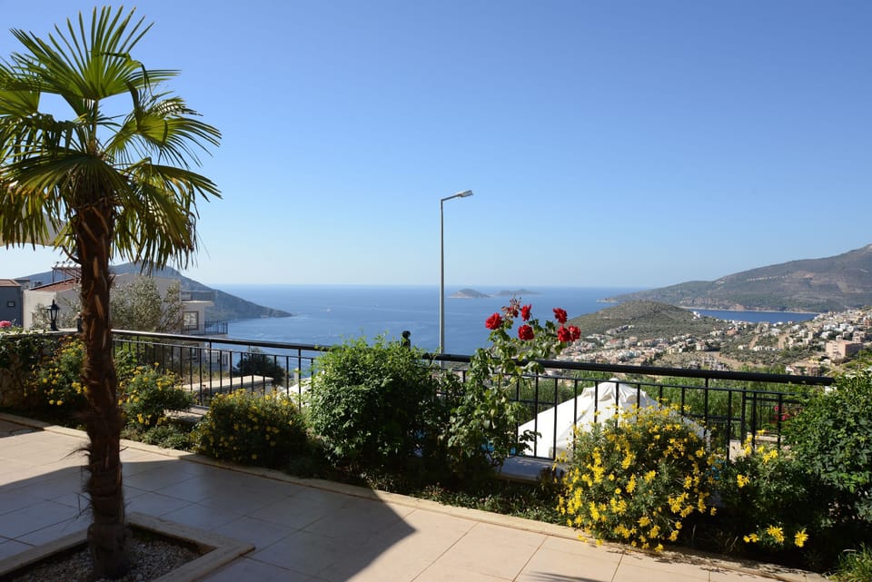View From the Terrace