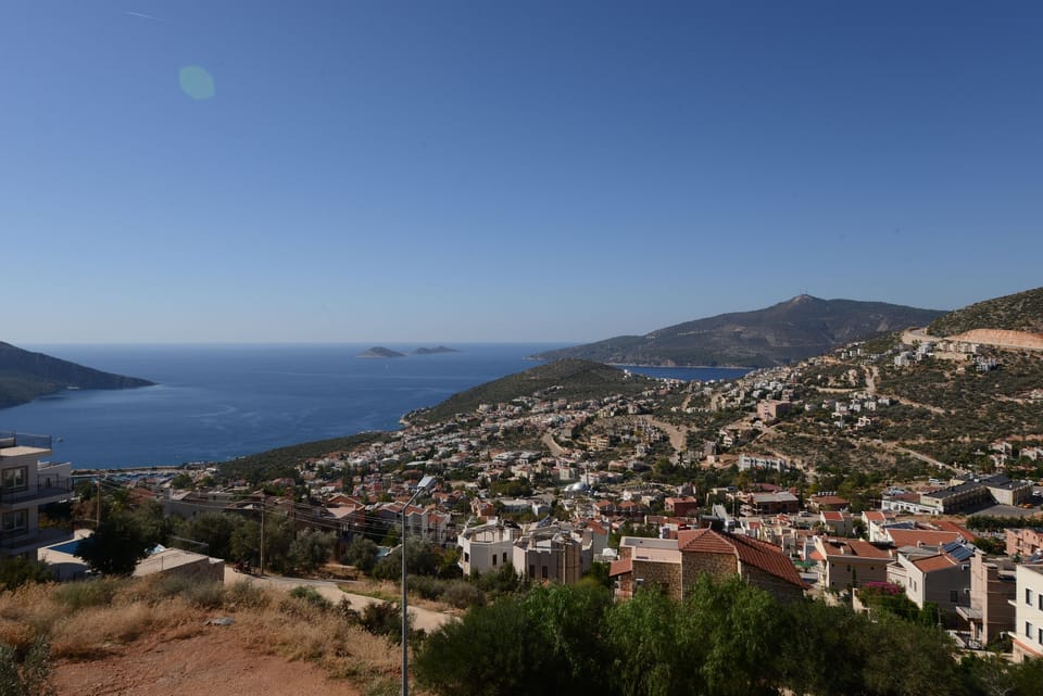 Roof Terrace View
