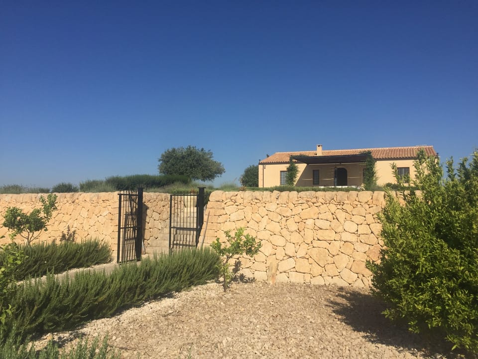 The House from Pool