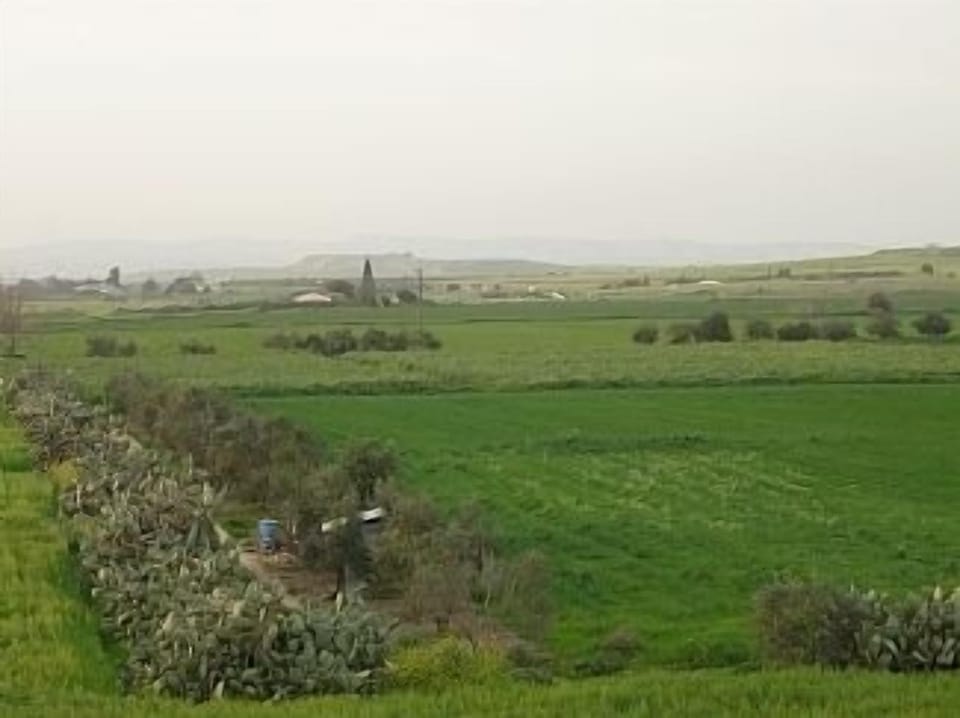 View from balcony