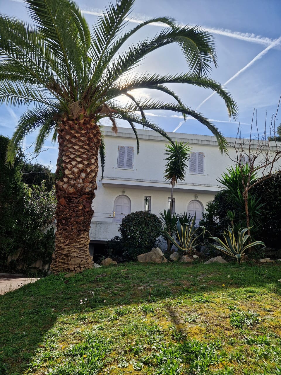 front of property