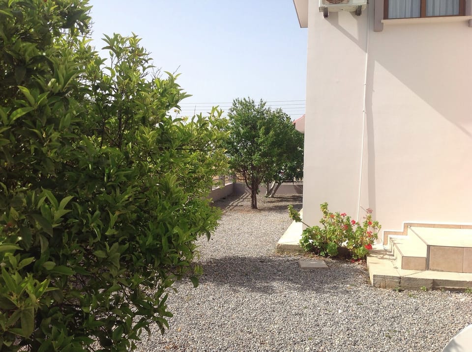 View towards road from side of house