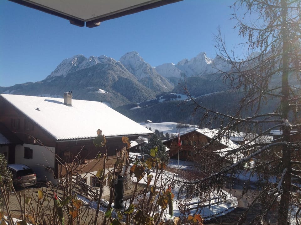 View from front door in winter