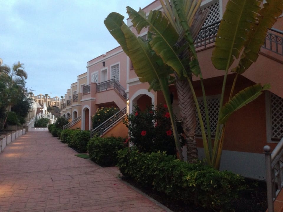 The complex 