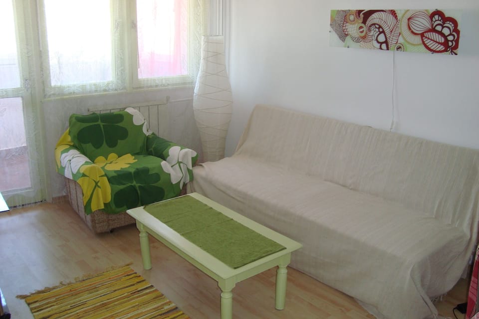 The sitting room with sofa bed