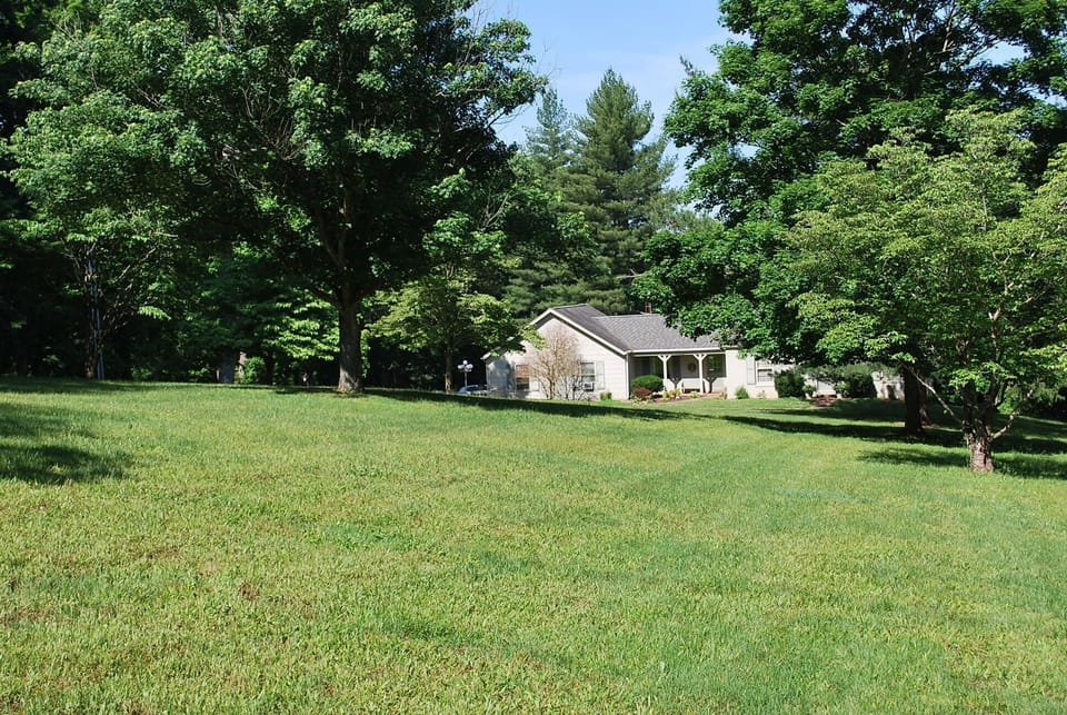 The suite is the area on the left of the house. 