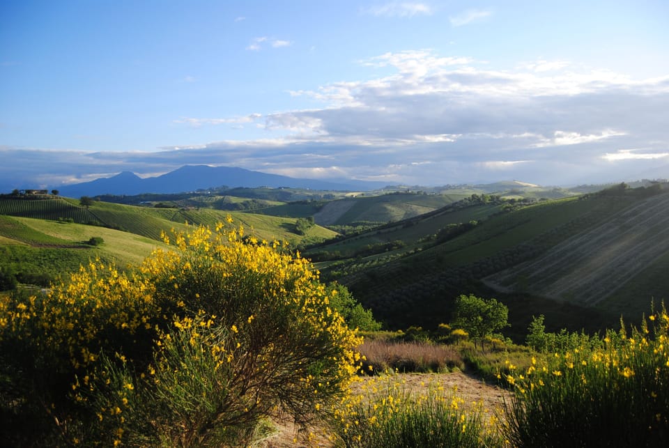 Our grounds offer the chance to have beautiful walks in the nature