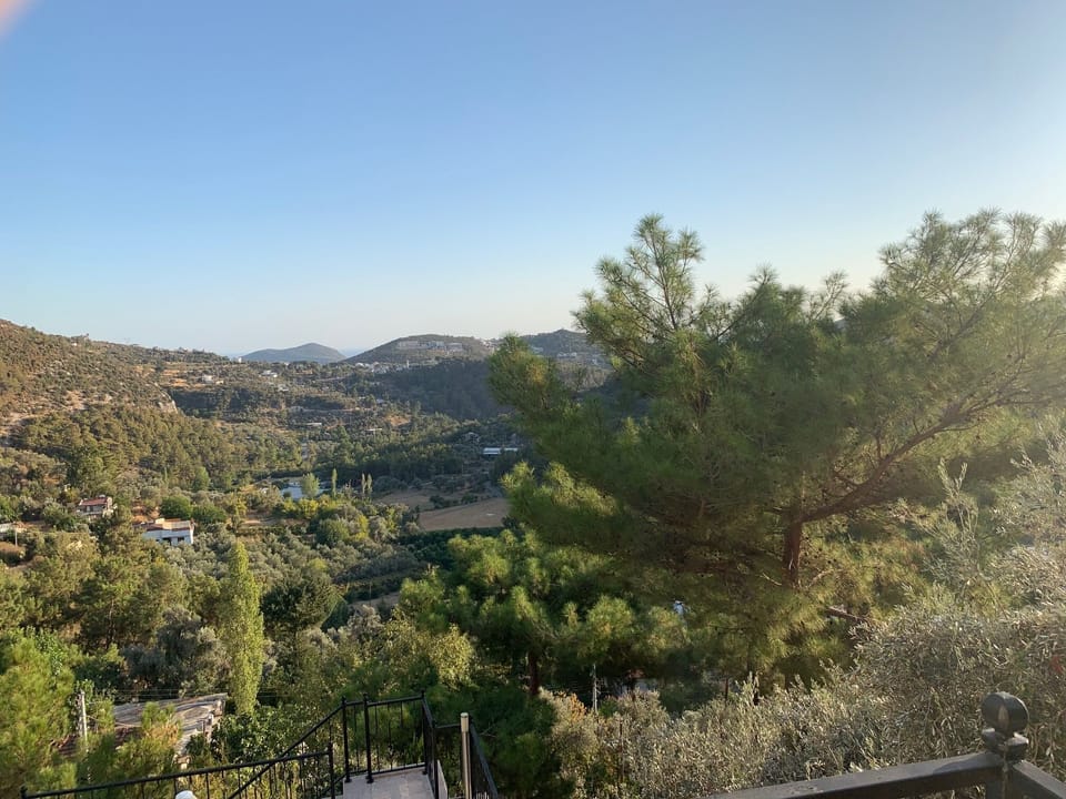 View from First Floor Bedroom