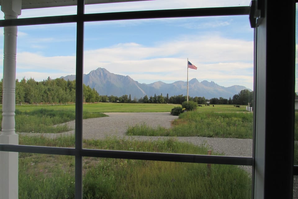 Looking out front window