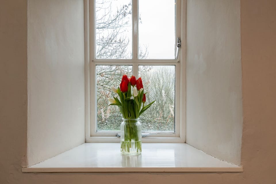 Bathroom window