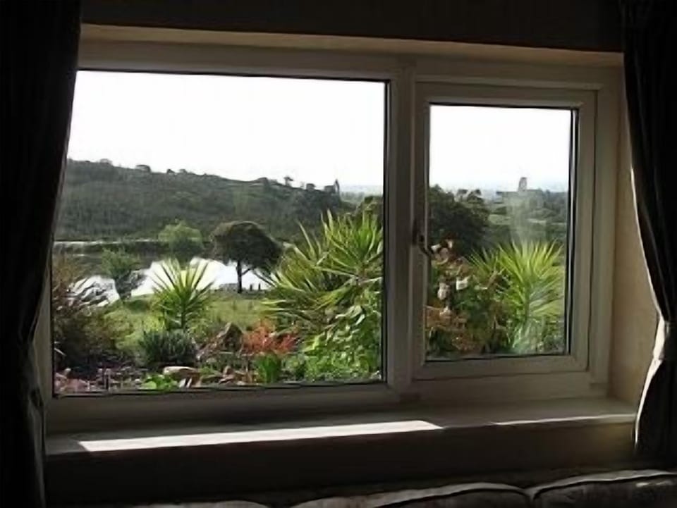 View from lounge window