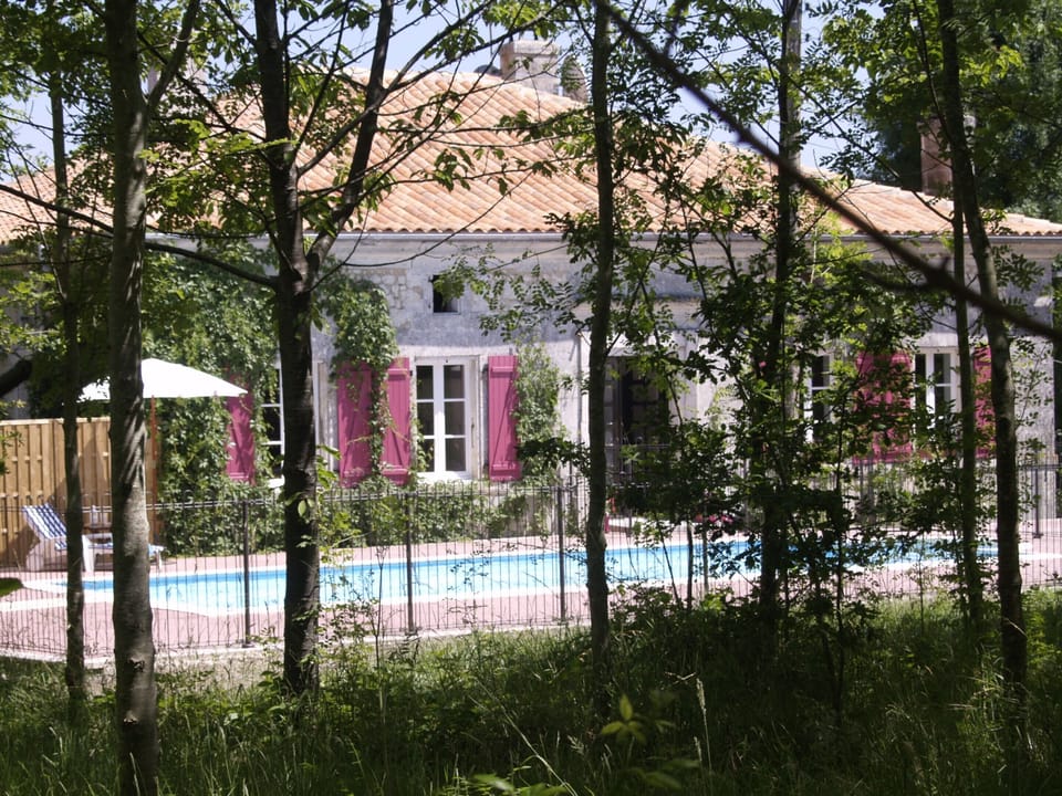 Peace and tranquility, a sunny oasis in the woods.
