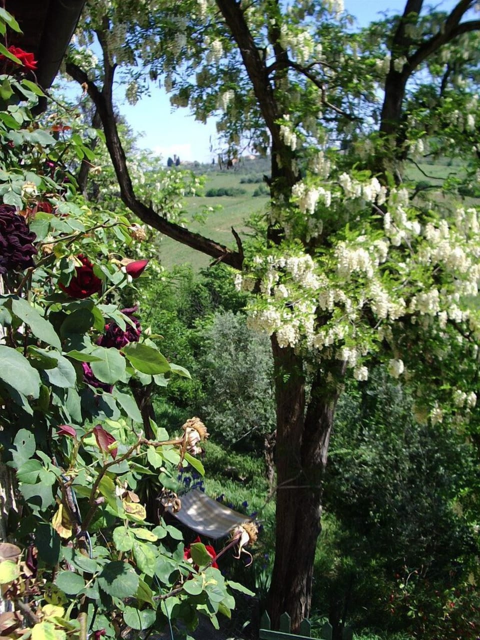 just outside the entrance 