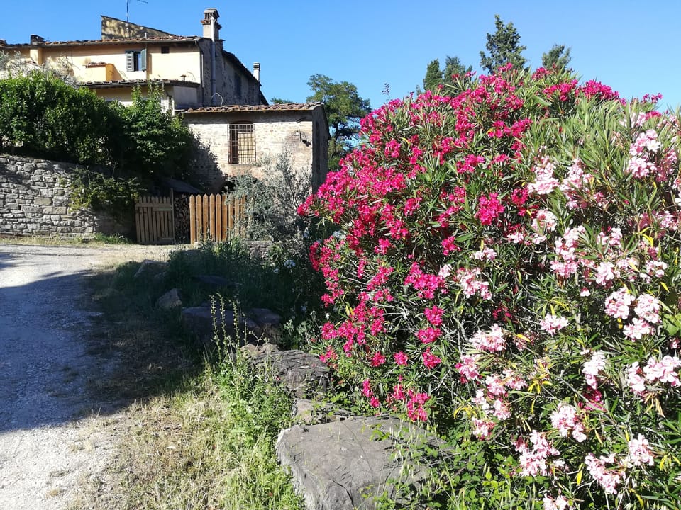 parking area and entrance gate