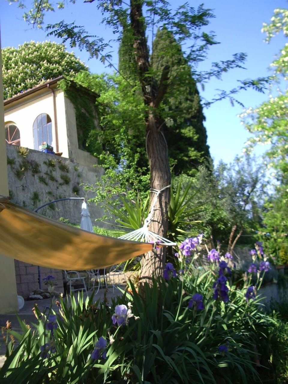 hammock with a view !