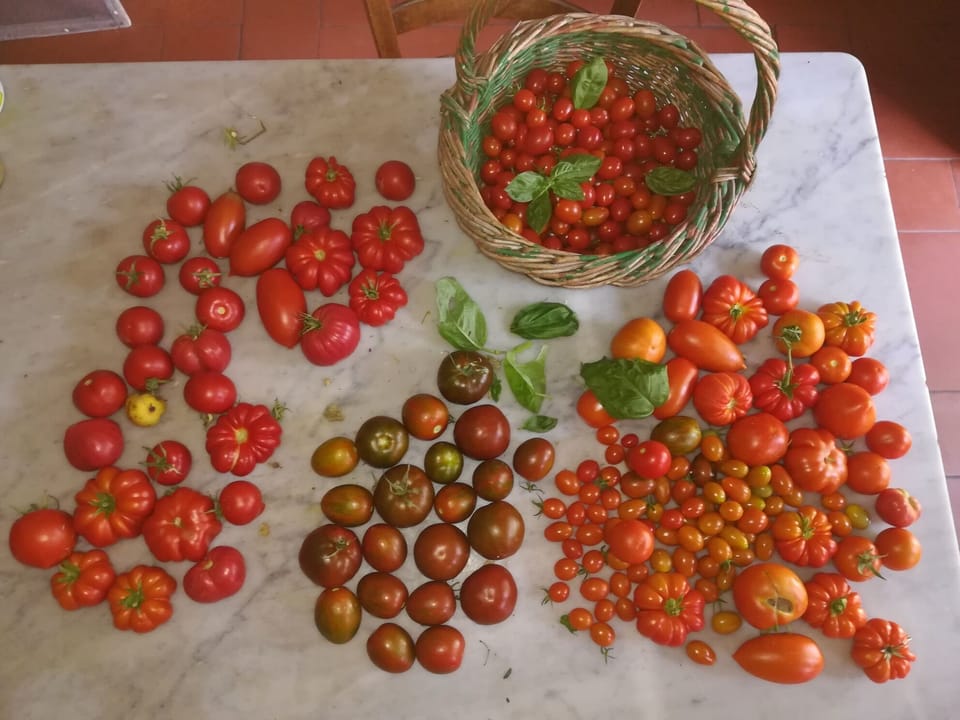 some of our produce