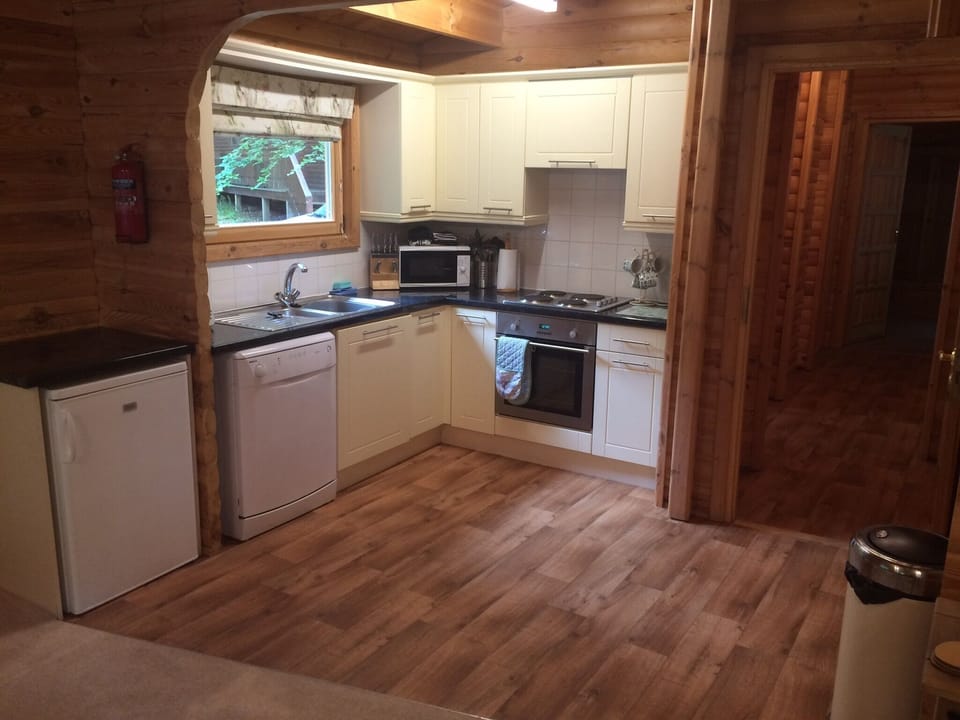 Kitchen with electric oven, hob, fridge, dishwasher and microwave 