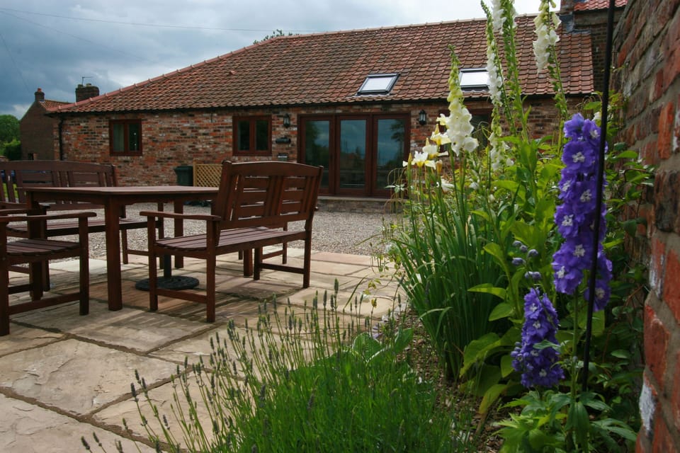 Patio garden with seating area