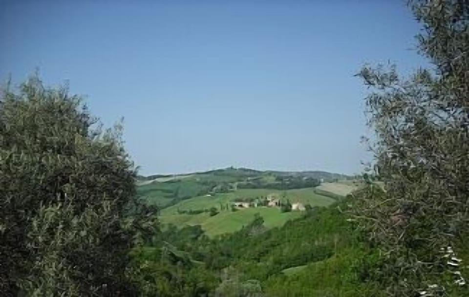 View from front of house