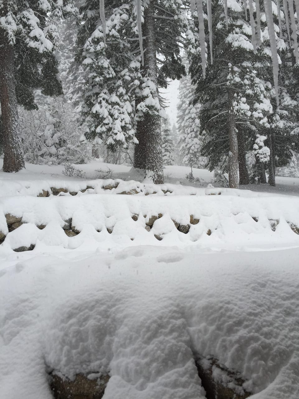 December snowfall outside the back deck.